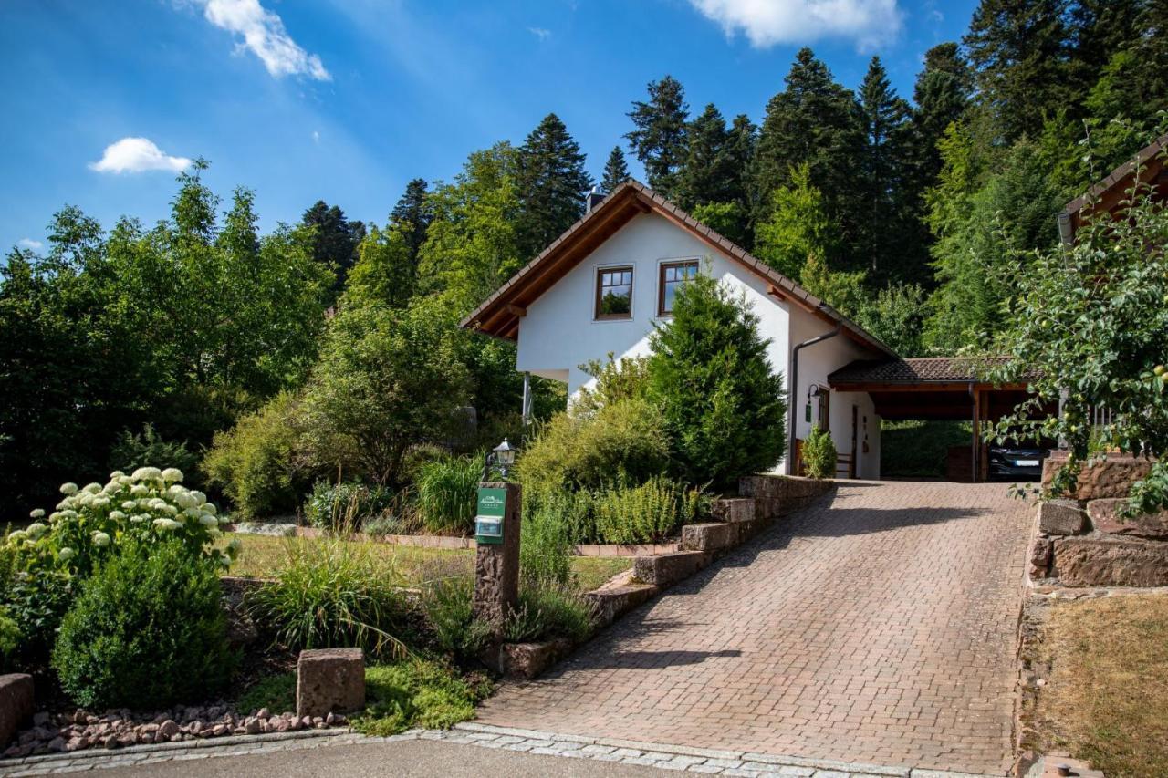 Schwarzwald Chalets Freudenstadt Kültér fotó